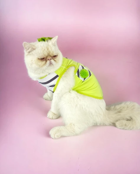 Lime Fuzz Atlet Kedi Kıyafeti Kedi Elbisesi - 3