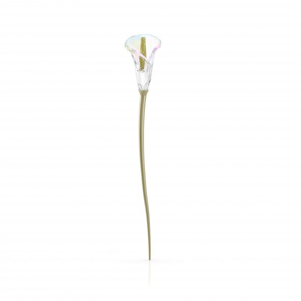 5619229 Swarovski Ev Dekorasyonu Garden Tales: Calla Lıly