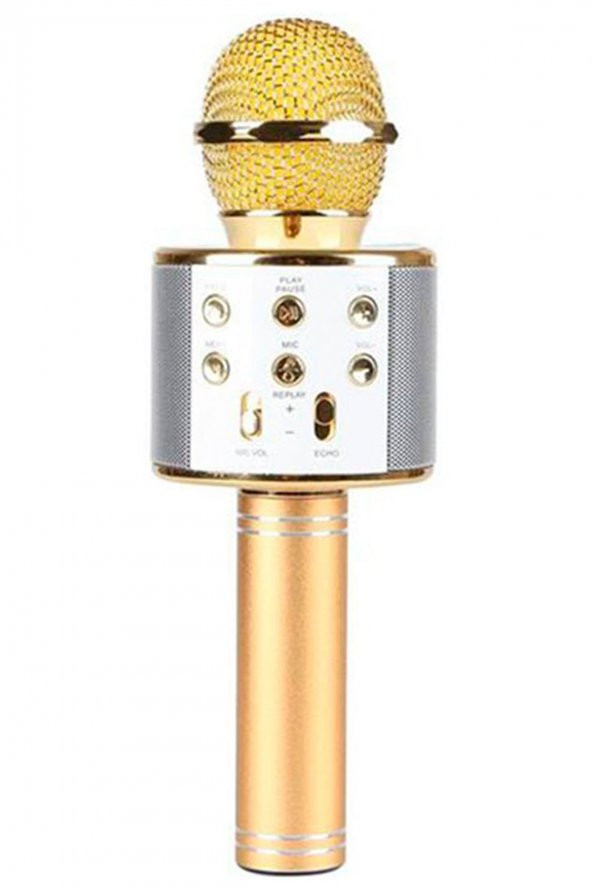 Dijimedia WS858 Karaoke Mikrofon - Gold