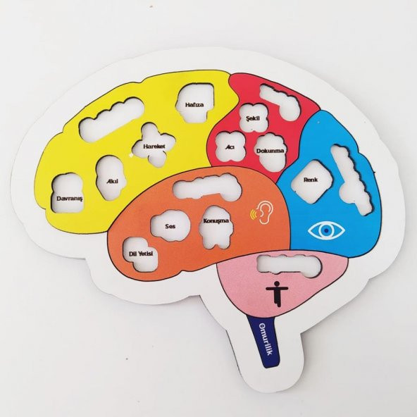 Moon Beavers Beynimi Öğreniyorum 83001,Okula (Fen Bilimleri) Katkı Sağlayan Ahşap Sağlıklı Oyuncak - 3