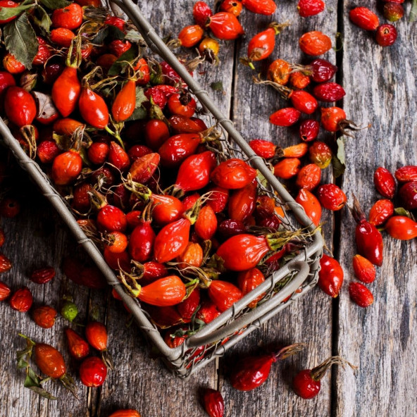 DoğuMark - Kuşburnu Kurusu - (1 Kg) - 2