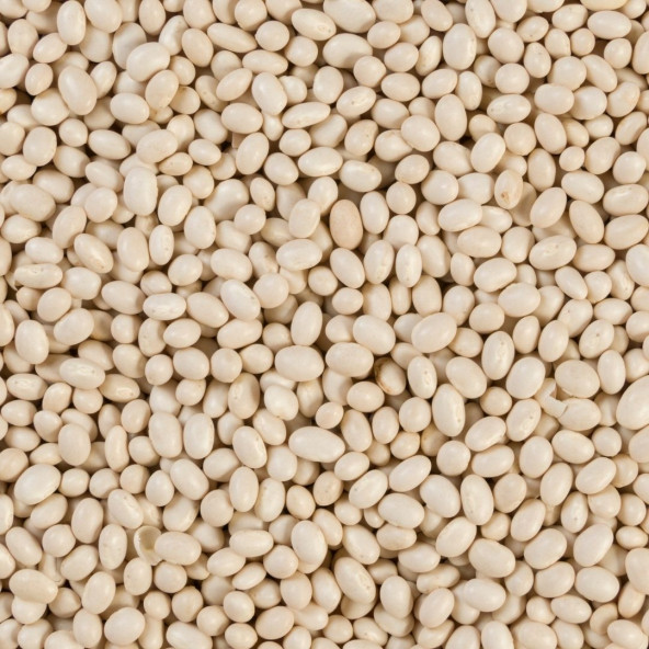 DoğuMark - Şeker Fasulye - (1 Kg) - 2