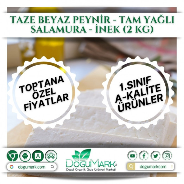 DoğuMark - Taze Beyaz Peynir - Tam Yağlı Salamura - İnek (2 Kg)