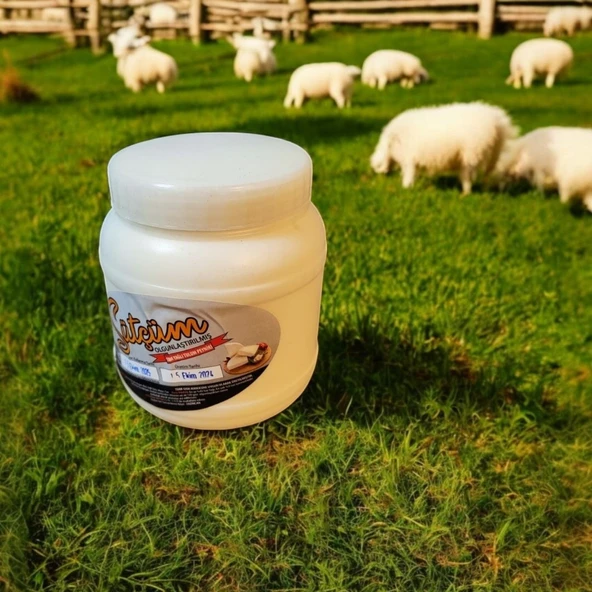(1 Kg) Katkısız Doğal Tam Yağlı Erzincan Şavak Tulum Peyniri (1 Kg) - 2