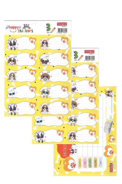 Okul Etiketi Kız Modeli 10 lu 2 Yaprak Ders Programlı 1 Paket Defter Kitap Etiketi Desenli Renkli Etiket - 8