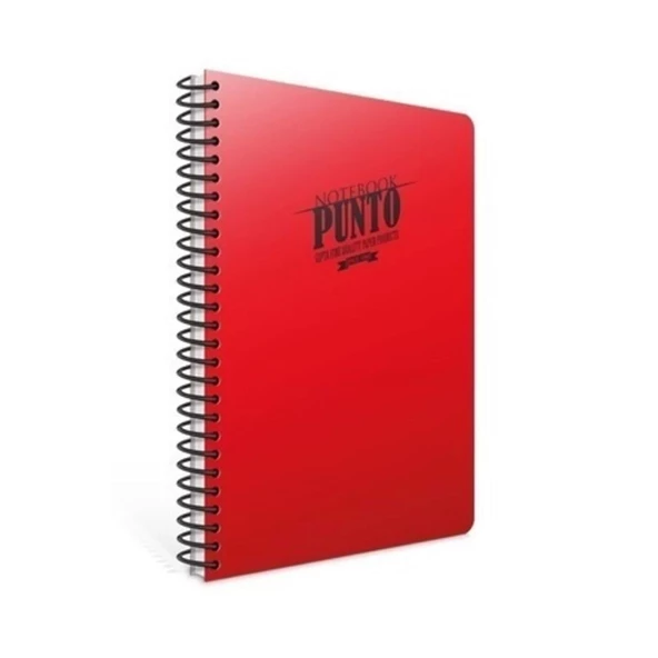 GIPTA PUNTO SPİRAL PP KAPAK DEFTER (A4) 60 yaprak ( Kareli )