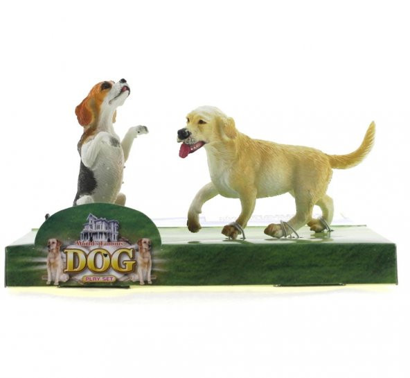 Beagle ve Labrador Retrieve Model Hayvan Köpek