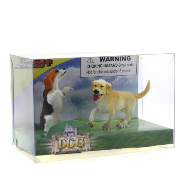 Beagle ve Labrador Retrieve Model Hayvan Köpek - 2