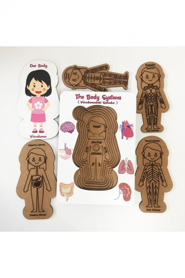Moon Beavers Vücudumuzdaki Sistemler - Kız Ahşap Puzzle 83041,Eğitici Öğretici Boyanabilir Ahşap Oyuncak - 4