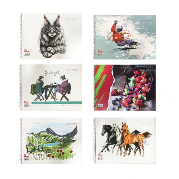 Tokaç Resim Defteri 24X34 My Lesson Karton Kapak Sipralli 15 Yp - Resim 2