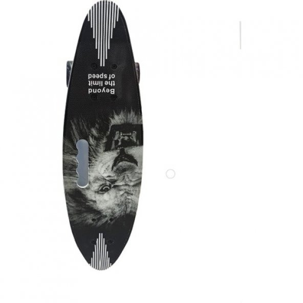CAN OYUNCAK SLİKON TEKER TUTMALI KAYKAY 58 CM 885