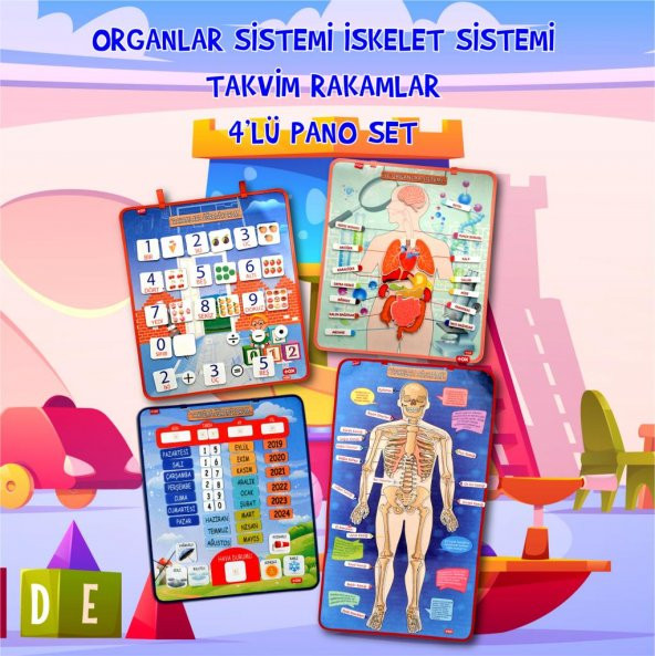 4 Set - 151 Parça  İskelet , İç Organlar Sistemi , Takvim ve Rakamları Öğreniyorum Keçe Cırtlı Duvar Panoları - 2
