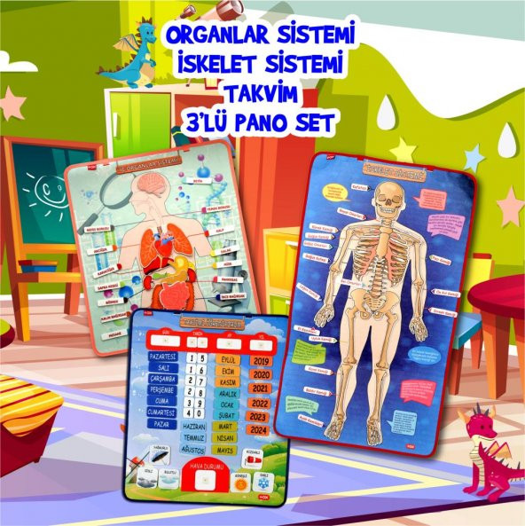 3 Set -106 Parça  İç Organlar , İskelet  Sistemi ve Takvimi Öğreniyorum Keçe Cırtlı Duvar Panoları - Resim 2
