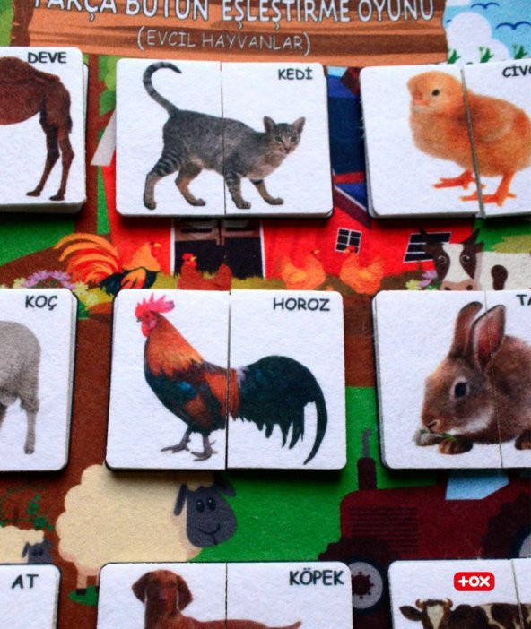 ( Evcil Hayvanlar ) Parça-Bütün Eşleşmeler Keçe Cırtlı Aktivite Sayfası - Resim 5