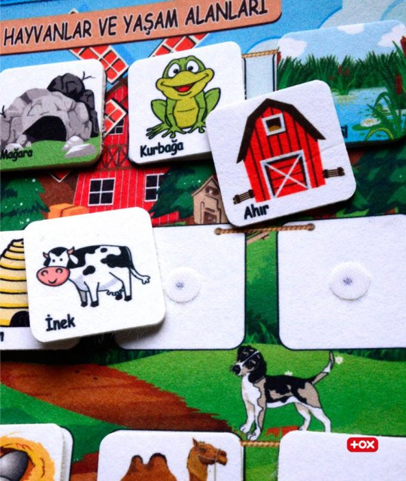 ( Hayvanlar ve Yaşam Alanları ) Keçe Cırtlı Aktivite Sayfası - Resim 5
