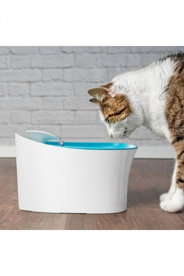 Pet Water Fountain Su Pınarı