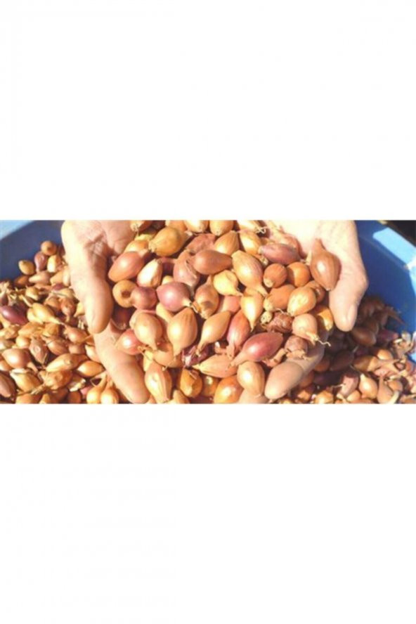 ANNE ELİ 5kg Kıska Arpacık Soğan - 2
