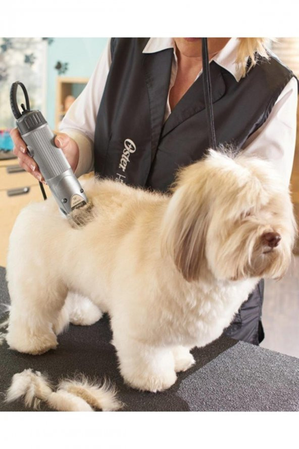 Oster Golden A5 Küçük Hayvan Tıraş Makinası Çift Devirli - Resim 2