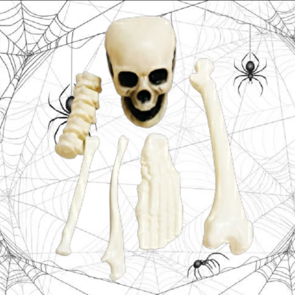 Cadılar Bayramı Kurukafa Kemik Set ürün görseli 1