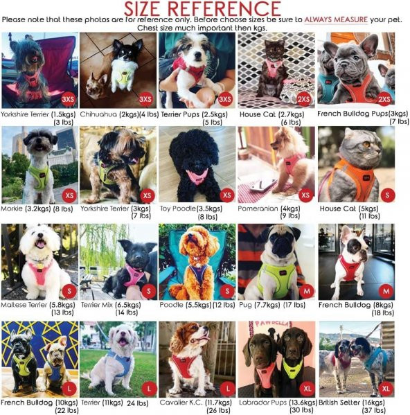 Tailpetz Air Mesh Harness Desenli Göğüs Tasması Patch XSmall - Resim 3