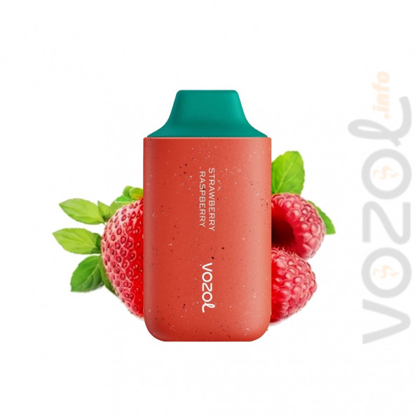 Vozol El Nargilesi Strawberry Raspberry