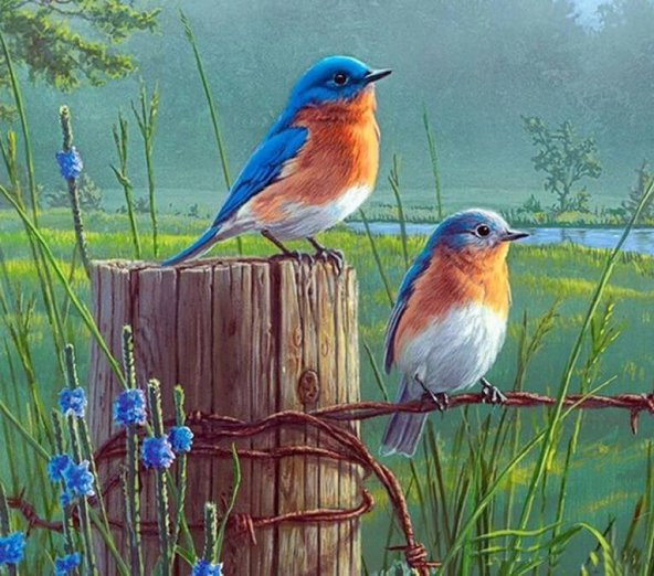 Movas Sanat 2 Sevimli Küçük Kuş | Elmas Mozaik Tablo | Mozaik Puzzle | 50x45 | E20203401