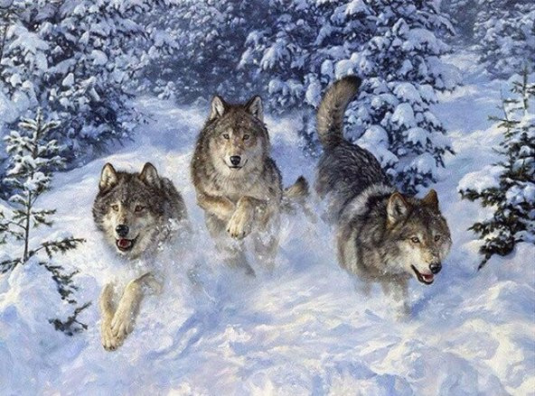 Movas Sanat Alfa Kurtlar Kar Üstünde | Elmas Mozaik Tablo | Mozaik Puzzle  | 50x35 | E20203066M