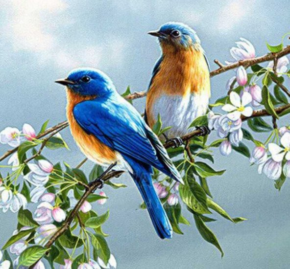 Movas Sanat Sevimli Çiftler | Elmas Mozaik Tablo | Mozaik Puzzle | 50x50 | E20202776M