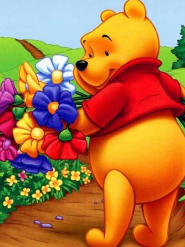 Movas Sanat Winnie The Pooh Çiçek Topluyor | Elmas Mozaik Tablo | Mozaik Puzzle    40x60 | E20202891M