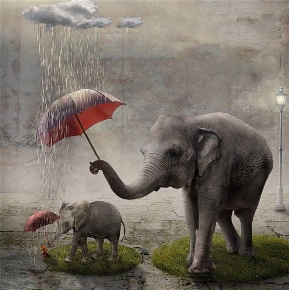 Movas Sanat Yavrusunu Yağmurdan Koruyan Anne Fil | Elmas Mozaik Puzzle  | 50x50 | E20201971M