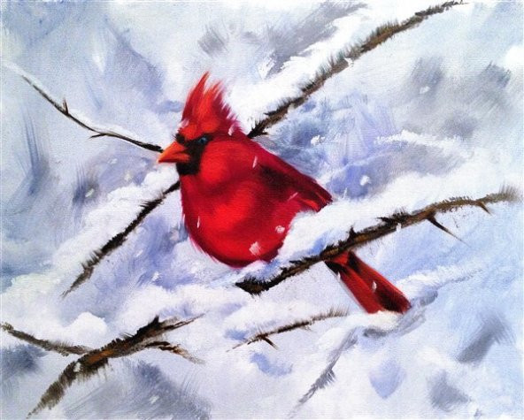 Movas Sanat Kar Ve Kırmızı Bir Kuş | Elmas Mozaik Tablo | Mozaik Puzzle  | 50x40 | E20201775M