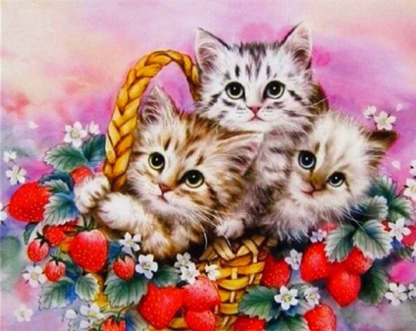 Movas Sanat Çilek Sepetindeki Yavru Kediler | Elmas Mozaik Puzzle | 50x40 | E20201334M