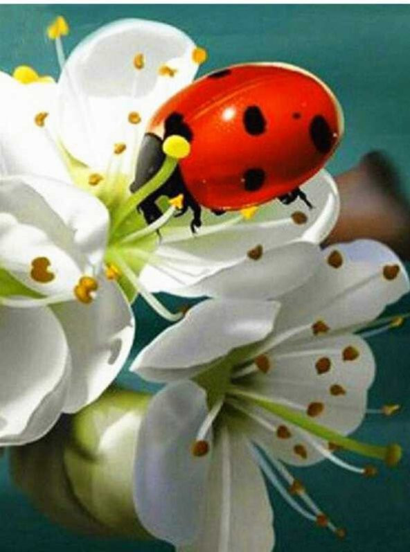 Movas Sanat Çiçek Ve Uğur Böceği | Elmas Mozaik Tablo | Mozaik Puzzle  | 40x60 | E20202827M