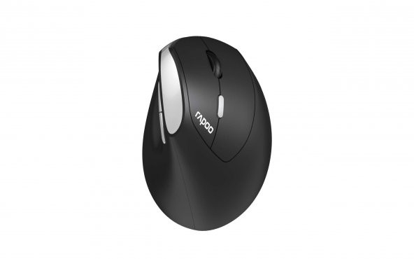 RAPOO MOU EV250 Siyah Kablosuz Ergonomik 1300DPI Mouse 13531