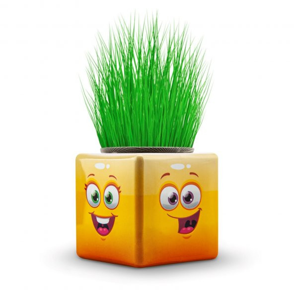 19lu Karışık 3 Tarafı Emojili Figürlü Küp Çim Adamlar Okul Ve Okul Öncesi Hediyelik Çim Adam - 6