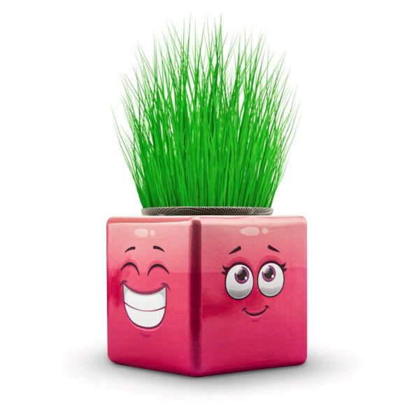 19lu Karışık 3 Tarafı Emojili Figürlü Küp Çim Adamlar Okul Ve Okul Öncesi Hediyelik Çim Adam - 8