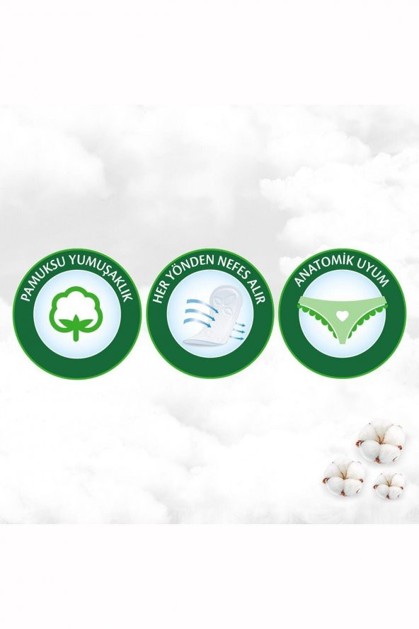 Molped Günlük Pure Soft 32Li Incelik - 4