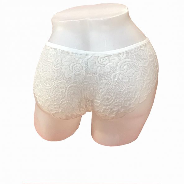 MrrMajestic Dantelli Günlük Külot - Resim 2