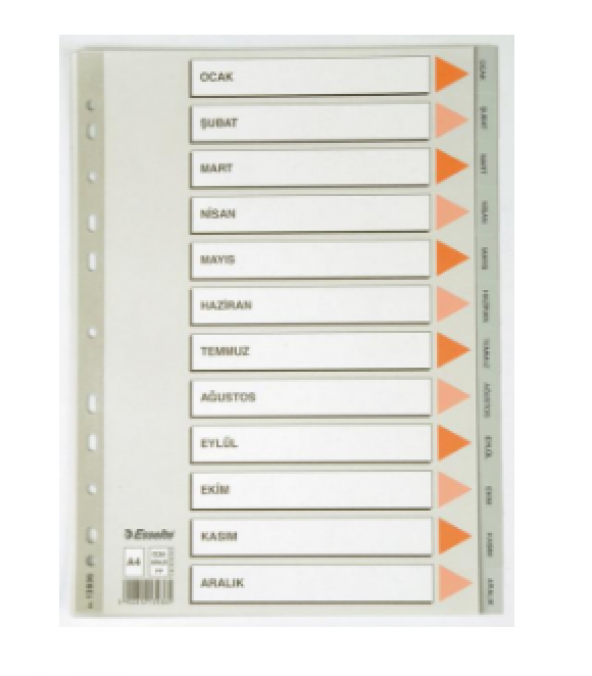 ESSELTE SEPARATÖR A4 AYLAR SLT-13936 ürün görseli
