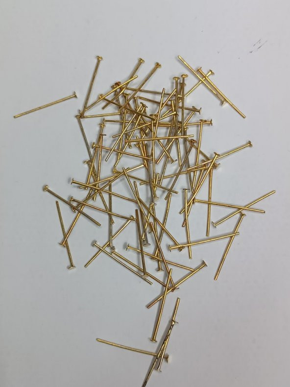 Nikel Kaplama Düz Takı Çivisi Sarı 1Kg 24mm - 2