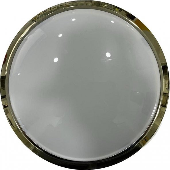 NisaLuce 20W Ledli Tavan Armatürü Gold Kasa 6400K - 2