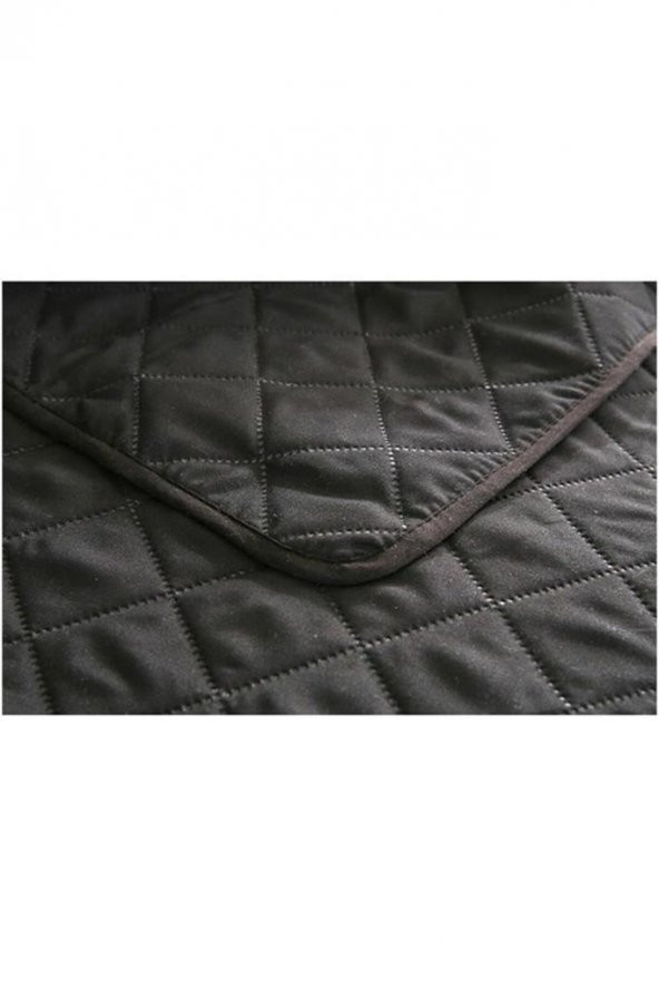 Koltuk Kanepe Berjer Örtüsü Sıvı Su Geçirmez Evcil Hayvan Bebek Çocuk Kedi Köpek Örtü Kılıf (tekli) - 3