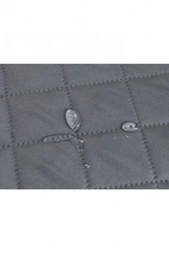 Koltuk Kanepe Berjer Örtüsü Sıvı Su Geçirmez Evcil Hayvan Bebek Çocuk Kedi Köpek Örtü Kılıf (tekli) - 5