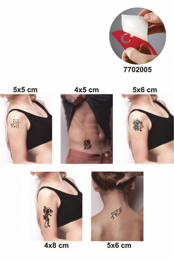 Kedigiller 5 Adet  Geçici Dövme Kına Şablonu - 2