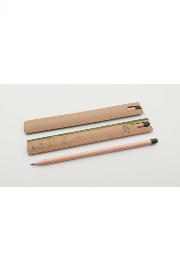 12 Adet Tohumlu Kurşun Kalem Kk ( Çiçek Tohumlu )