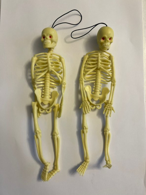 Silikon İskelet Eğitim Seti 2 Adet birden 20 cm
