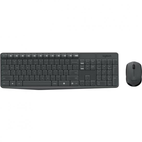 Logitech MK235 Kablosuz Klavye Mouse Set (920-007925)