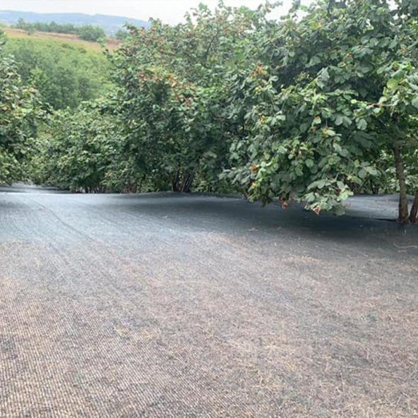 6x8 METRE FINDIK SERGİSİ FINDIK TOPLAMA FİLESİ FINDIK KURUTMA ÖRTÜSÜ 40LIK GÖLGELİK FINDIK ALTI FİLE HASAT TABAN ÖRTÜSÜ - 3