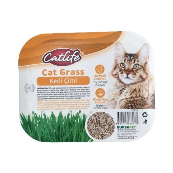Catlife Kedi Çimi Tüy Yumağı Önleyici Sindirim Destekleyici Fileli Kedi Otu Tohumu Paket