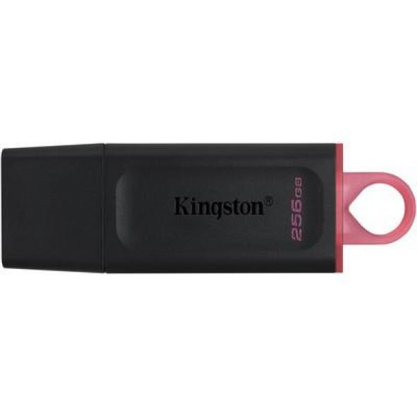 Kingston DTX/256GB DataTraveler Exodia 256 GB USB 3.2 Gen 1 Flash Bellek